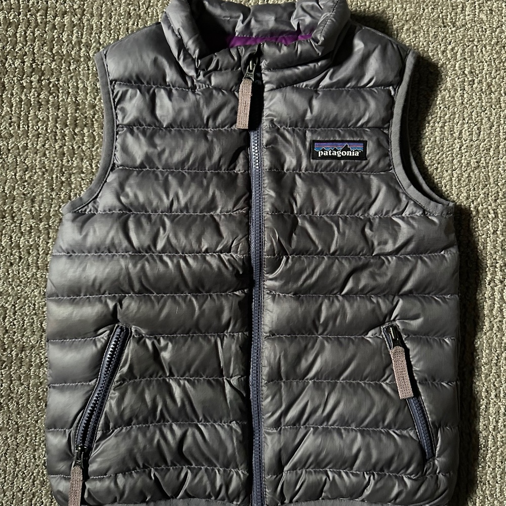 Patagonia down vest